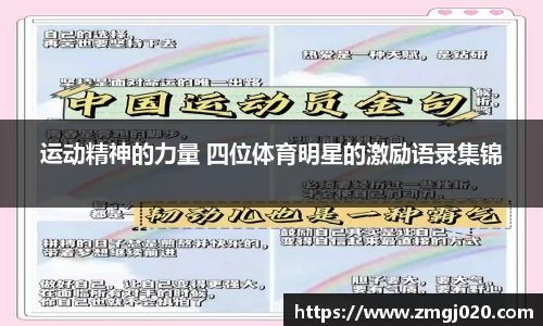 bsports官网入口