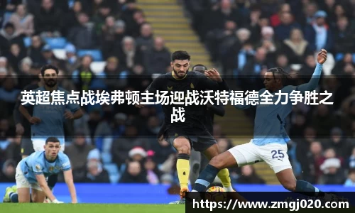 英超焦点战埃弗顿主场迎战沃特福德全力争胜之战